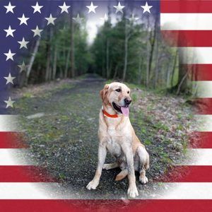 Meet your Posher, Bobby